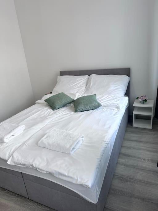 شقة Przytulny Apartament شتيتشينيك المظهر الخارجي الصورة